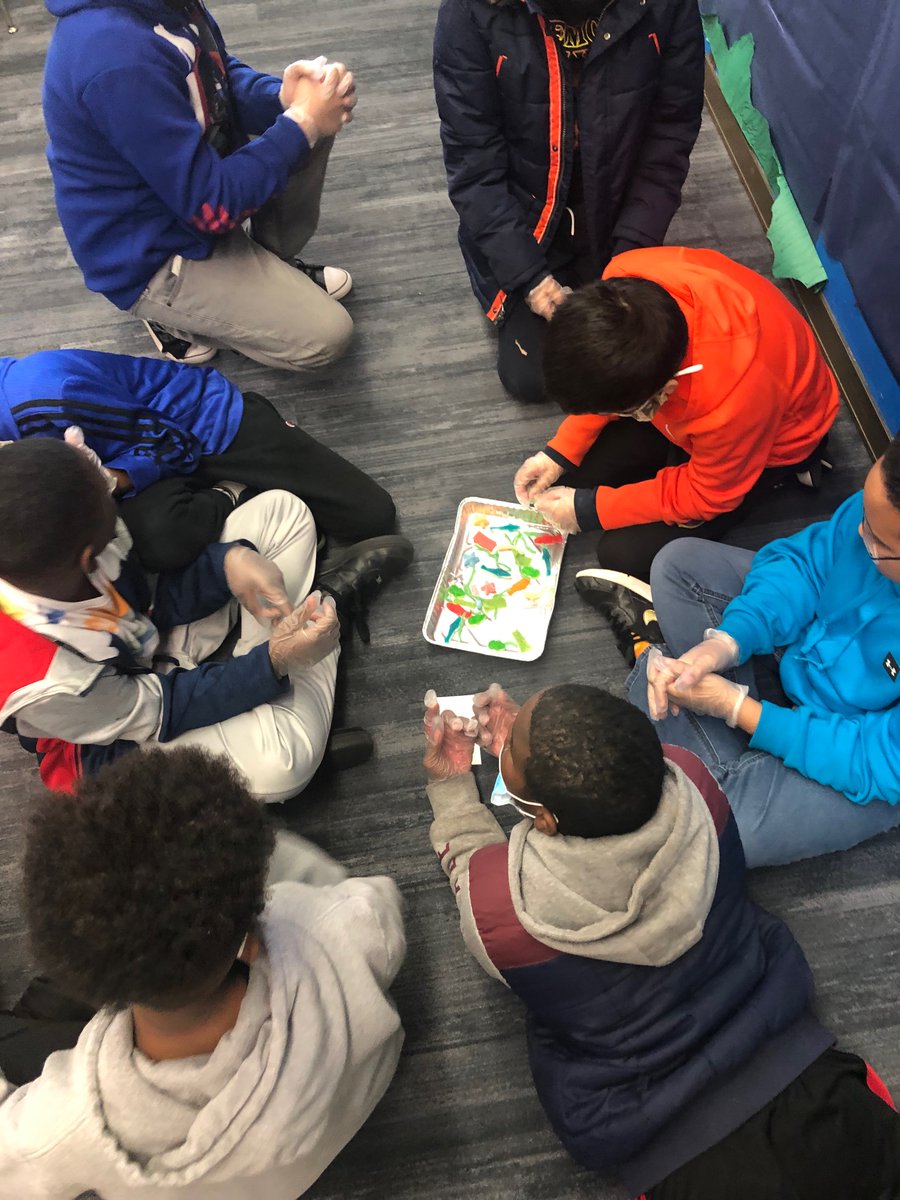 Allyson Neves tweet media