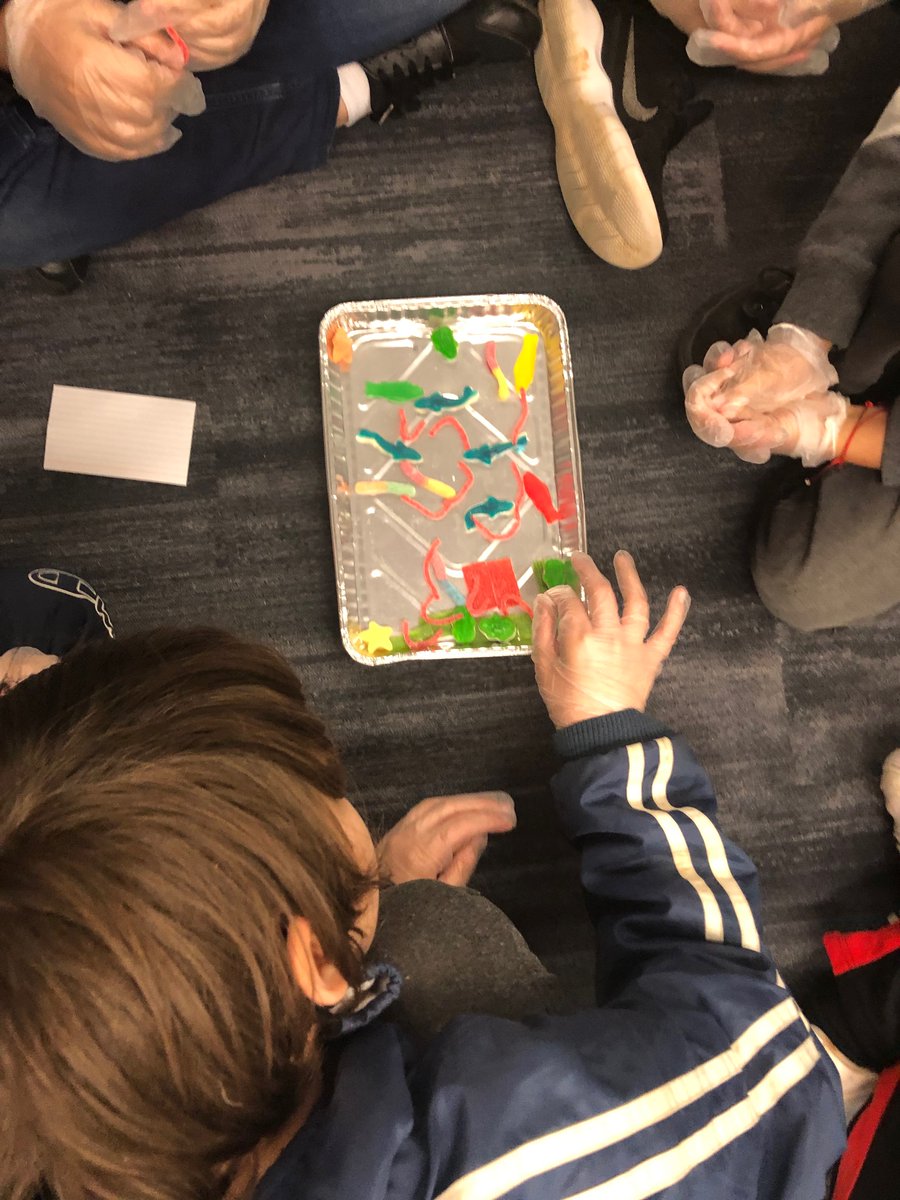 Creating an edible food web!!