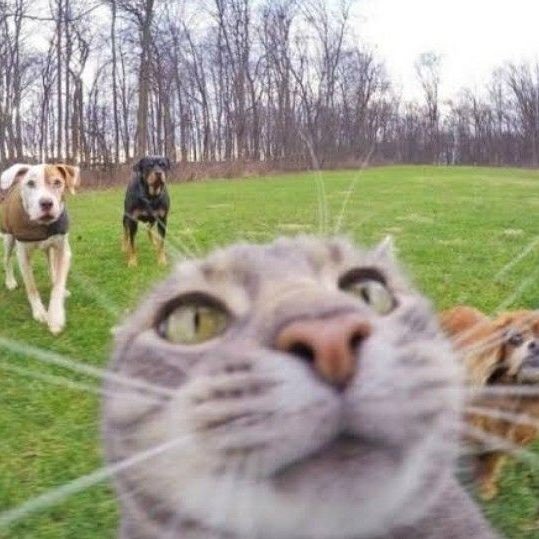 yoongi & soobin thinker (@sooobgi) on Twitter photo 