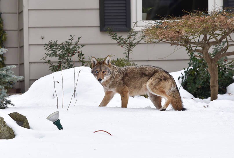 Graham Paine tweet media