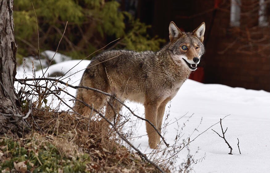 Graham Paine tweet media