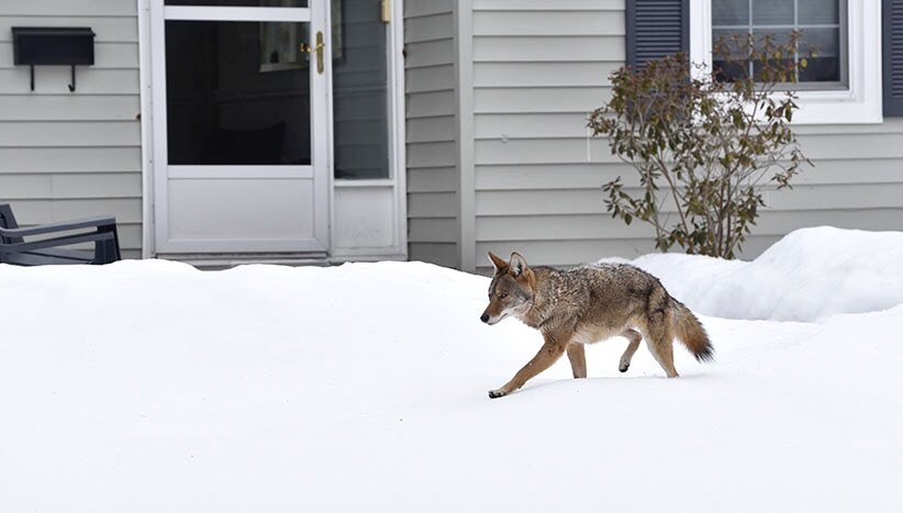 Graham Paine tweet media