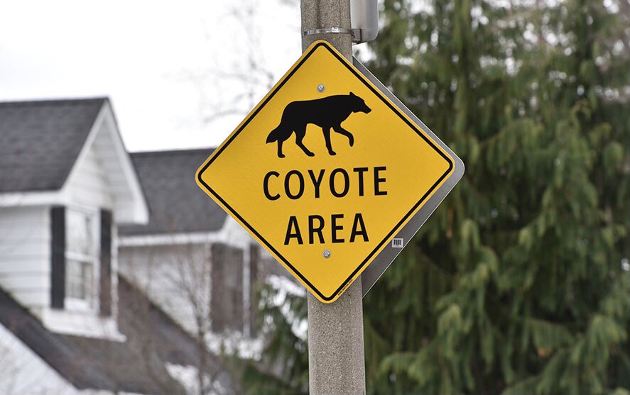 Graham Paine tweet media