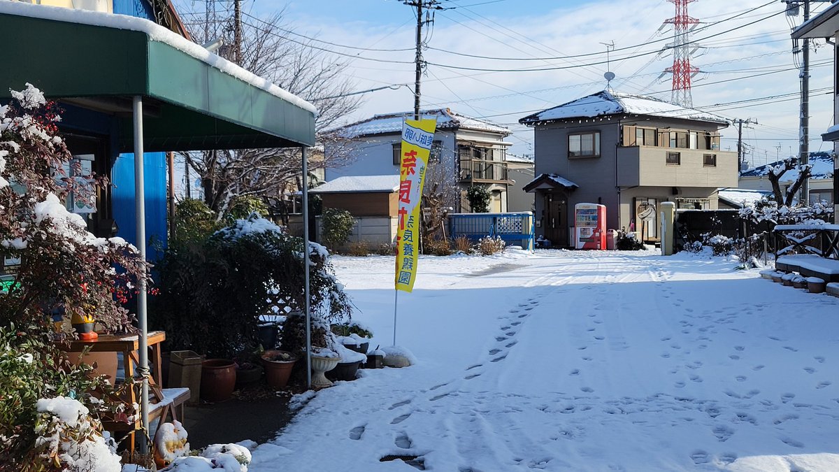 naratamago's tweet photo. おはようございます☃️
駐車場は約5cm程の積雪があります。
お店は通常営業の予定ですが、皆様はご無理なく！
明日も営業しますので😊 https://t.co/NEqrsoc2Ol