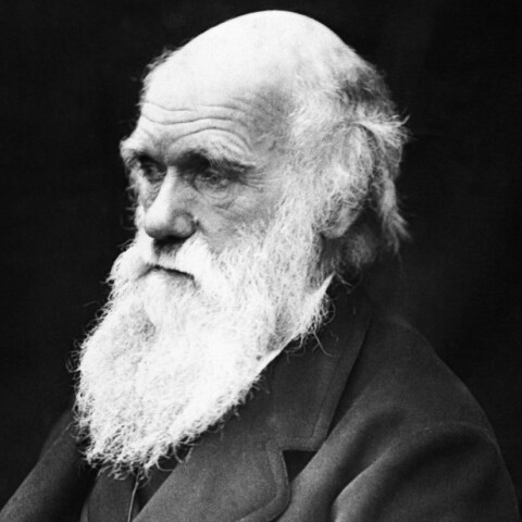 AndFinallySV's tweet photo. #OnThisDay: 12th February, 1809

#AbrahamLincoln and #CharlesDarwin were born.

To become one of the worlds most renowned political figures, and to study evolution respectively.

#AndFinally https://t.co/Um1z1elWBt
