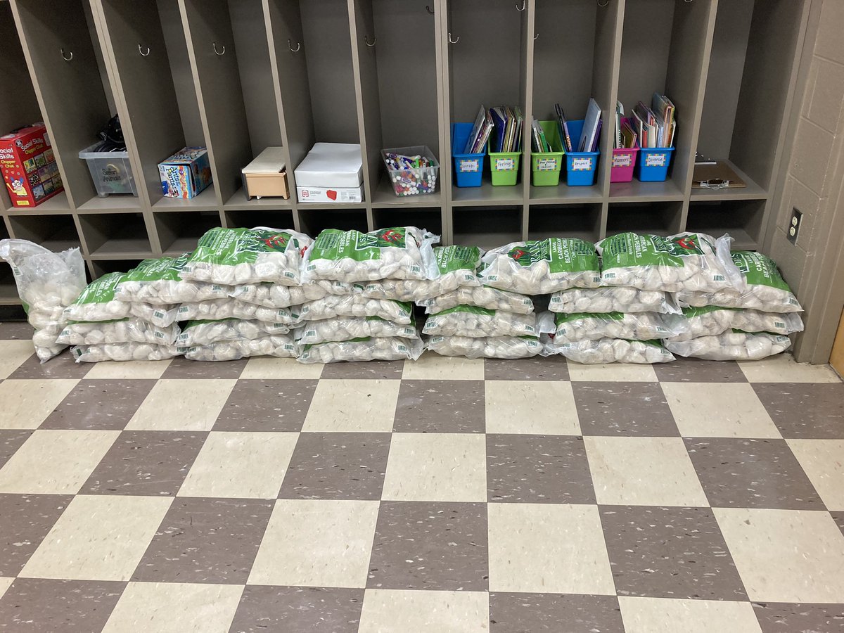 Melissa Daniel tweet media