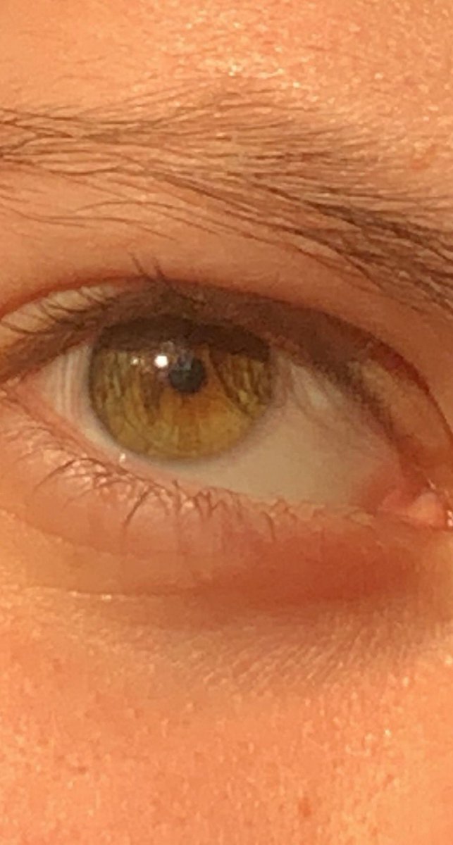 KallieGrace21's tweet photo. i see forever in your eyes
•
•
•
#eyeappreciation #eyes #twitchstreamer #dsmp https://t.co/6KijeO8upD