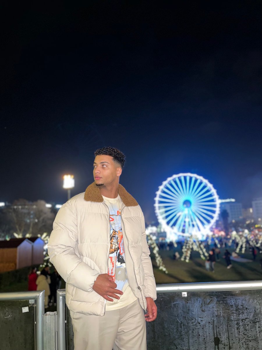 🎡