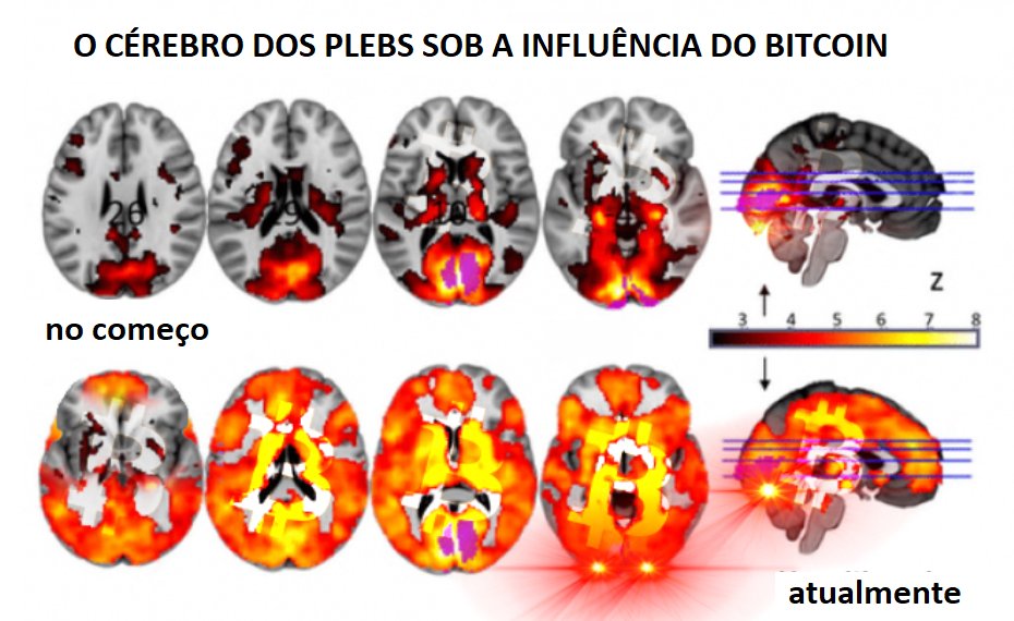 BitcoinExplica's tweet photo. Explica Bitcoin, de pleb pra pleb https://t.co/adF0uQY3L4