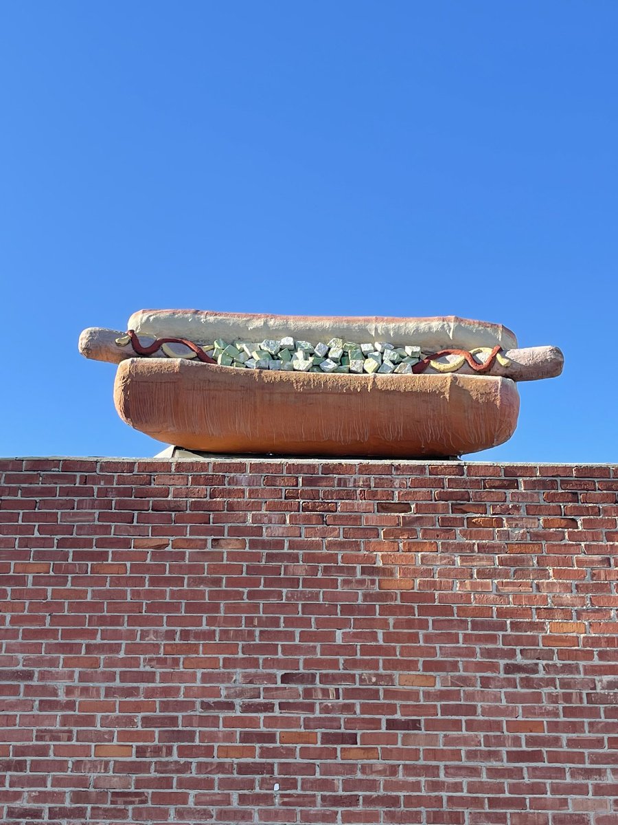 This hot dog on my street gives me so much joy