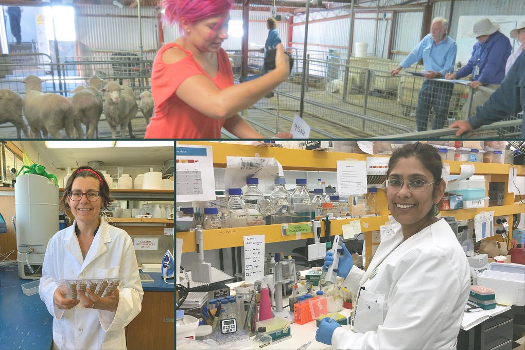 JenMTaylor's tweet photo. Celebrating all our women in science, past, present and future on #February11 International Day of Women and Girls in Science. https://t.co/BG4OO0WAKf