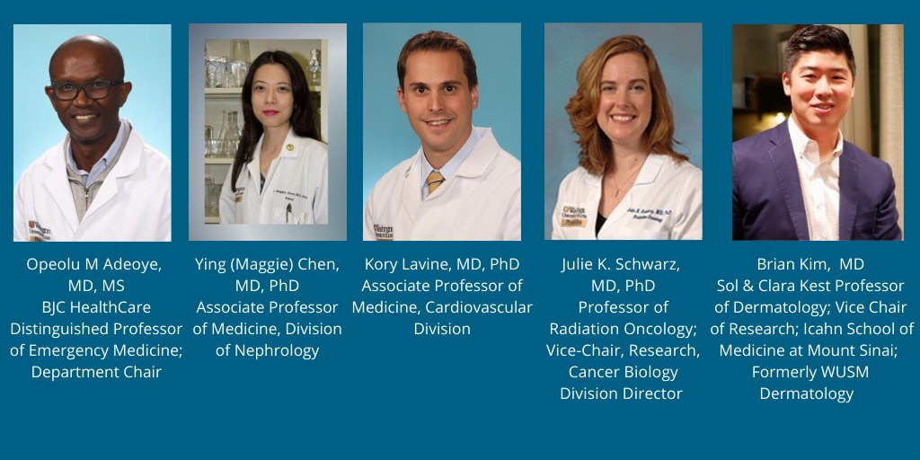 WashU Medicine Division of Physician-Scientists tweet media