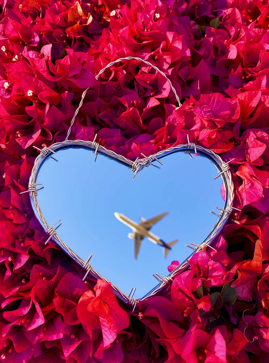 The plane was a paid actor for this shoot. 
Handmade barbed wire mirror by me 💖