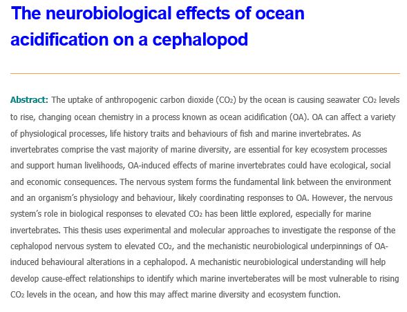 Jodi Thomas tweet media