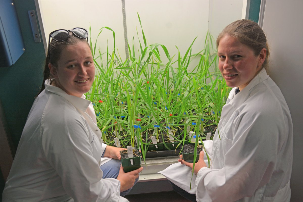 On this International Day of Women and Girls in Science, SAGIT pays tribute to all females working in science &amp; research to advance SA’s grain industry. 

We acknowledge and applaud your contribution &amp; efforts, and encourage others to follow in your footsteps.

#WomeninScienceDay