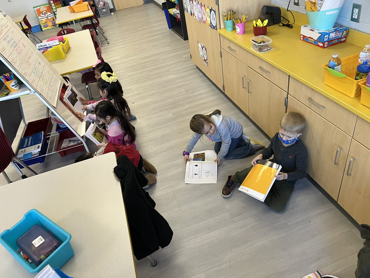 MsErinRobinette's tweet photo. Discussing the color, shapes, and texture of the Sugar Maple tree in small groups @plainviewElem @ELeducation #otterlyAwesome #excellenceIsInPlainview https://t.co/uyZ7quWZYf