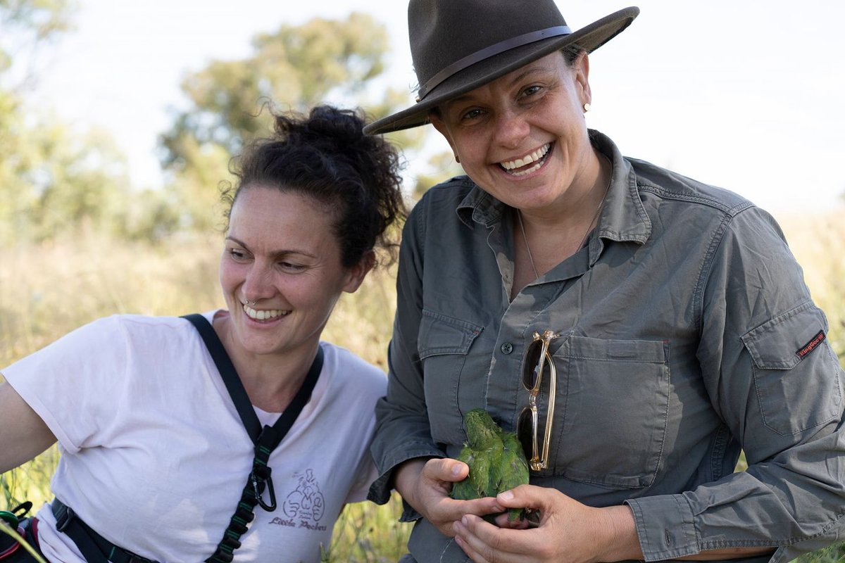 A big shout out to all the girls and women in science on International Day of Women and Girls in Science. 
Here are Canberra’s own Dr Laura Rayner and Dr Kate Grarock working hard to protect our vulnerable species.