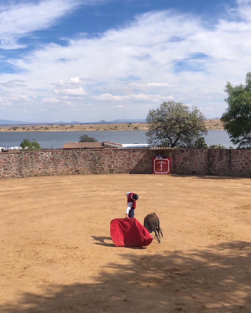 GLaMuralla's tweet photo. Día de tienta en compañía del matador @HermosilloJm en preparación previo a su compromiso en @LaPlazaMexico https://t.co/aJyV4T1U58
