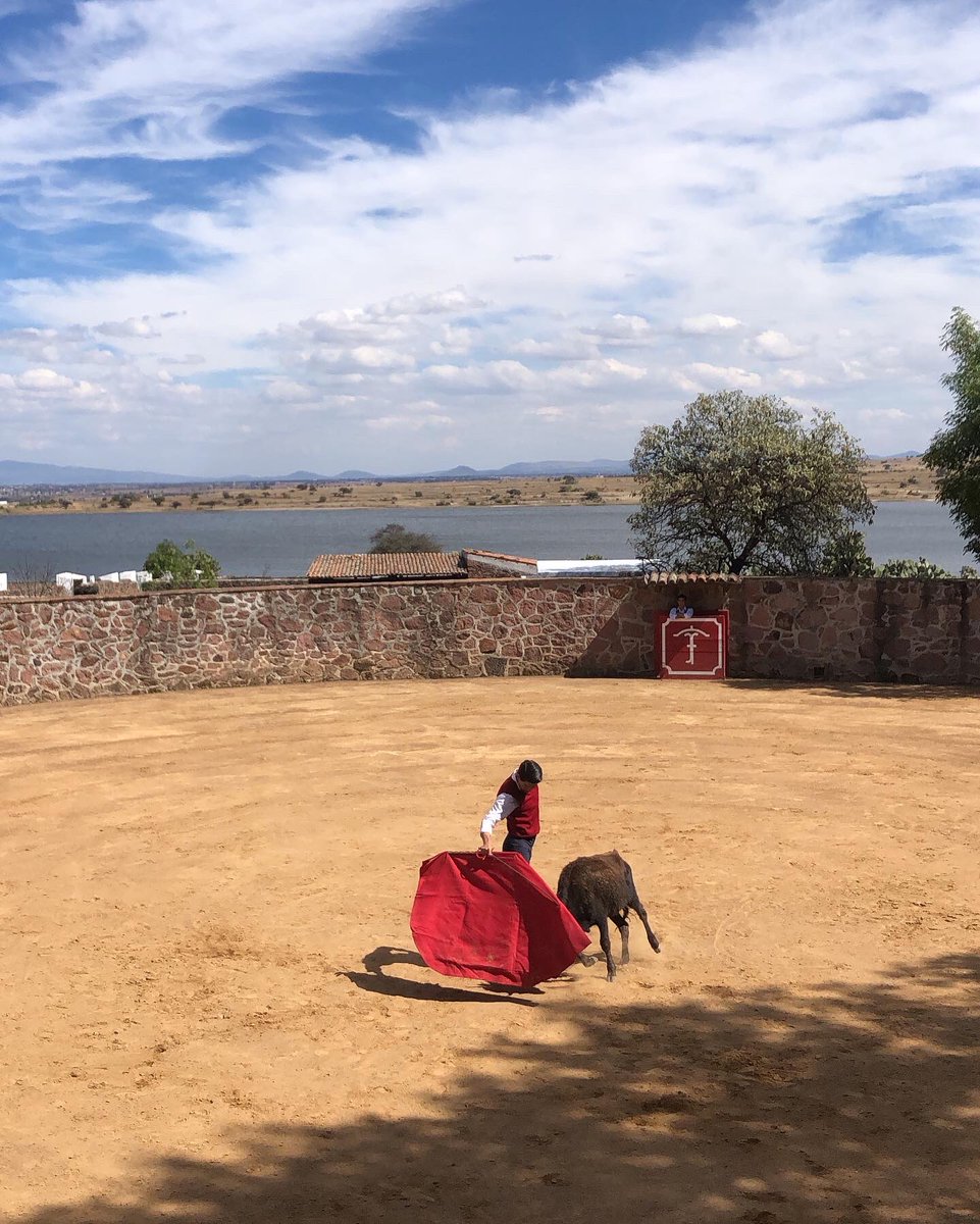 GLaMuralla's tweet photo. Día de tienta en compañía del matador @HermosilloJm en preparación previo a su compromiso en @LaPlazaMexico https://t.co/aJyV4T1U58