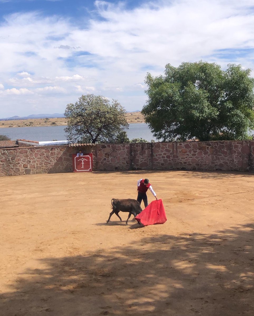 Día de tienta en compañía del matador <a href="/HermosilloJm/">José María Hermosillo</a> en preparación previo a su compromiso en <a href="/LaPlazaMexico/">La Plaza Mexico</a>