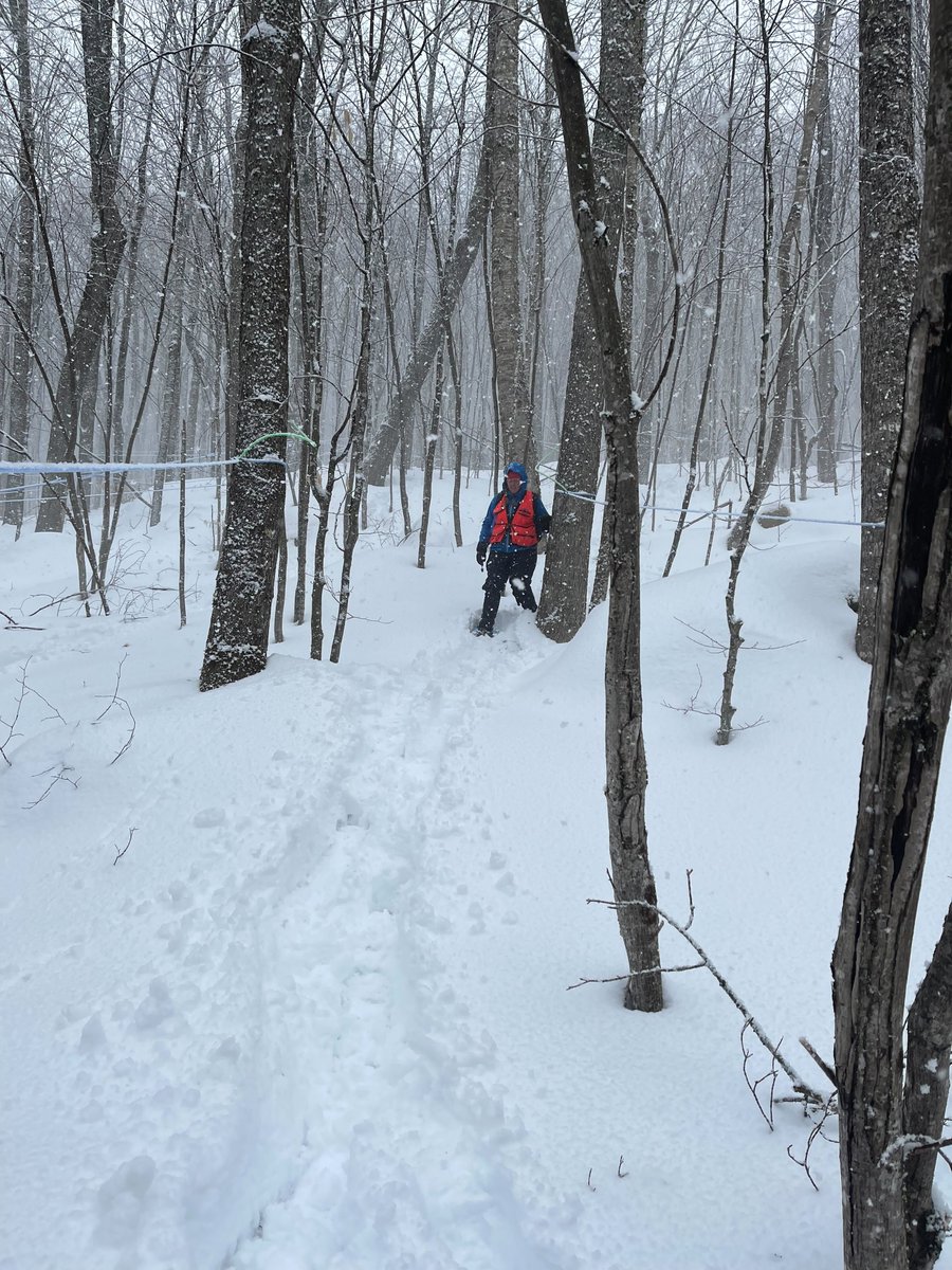 ForstCarbnWrks's tweet photo. If you are eligible for a carbon project, Forest Carbon Works sends out a technician to measure your #trees at no cost! Here are some of our crew members in the field in #Vermont this week. See if your property is eligible at https://t.co/xmdd6WWw2f
#carbonproject #forestry https://t.co/mLwrolxSZL