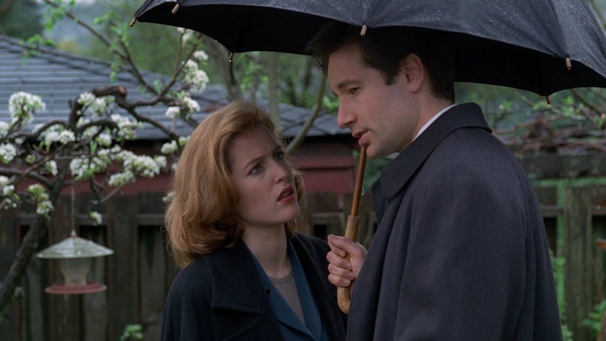 scullysmfluder's tweet photo. msr x umbrellas, my favorite aesthetic https://t.co/xIRlxKBz8W