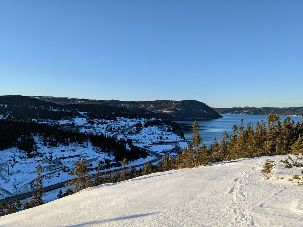 Shawn_Walters's tweet photo. Beautiful day snowshoeing near Petley, Random Island, NL. Distance: 8.2 km.
#NLwx #SnowshoeingNL #Petley #RandomIsland #HikingNL https://t.co/Z8ELAguJoC