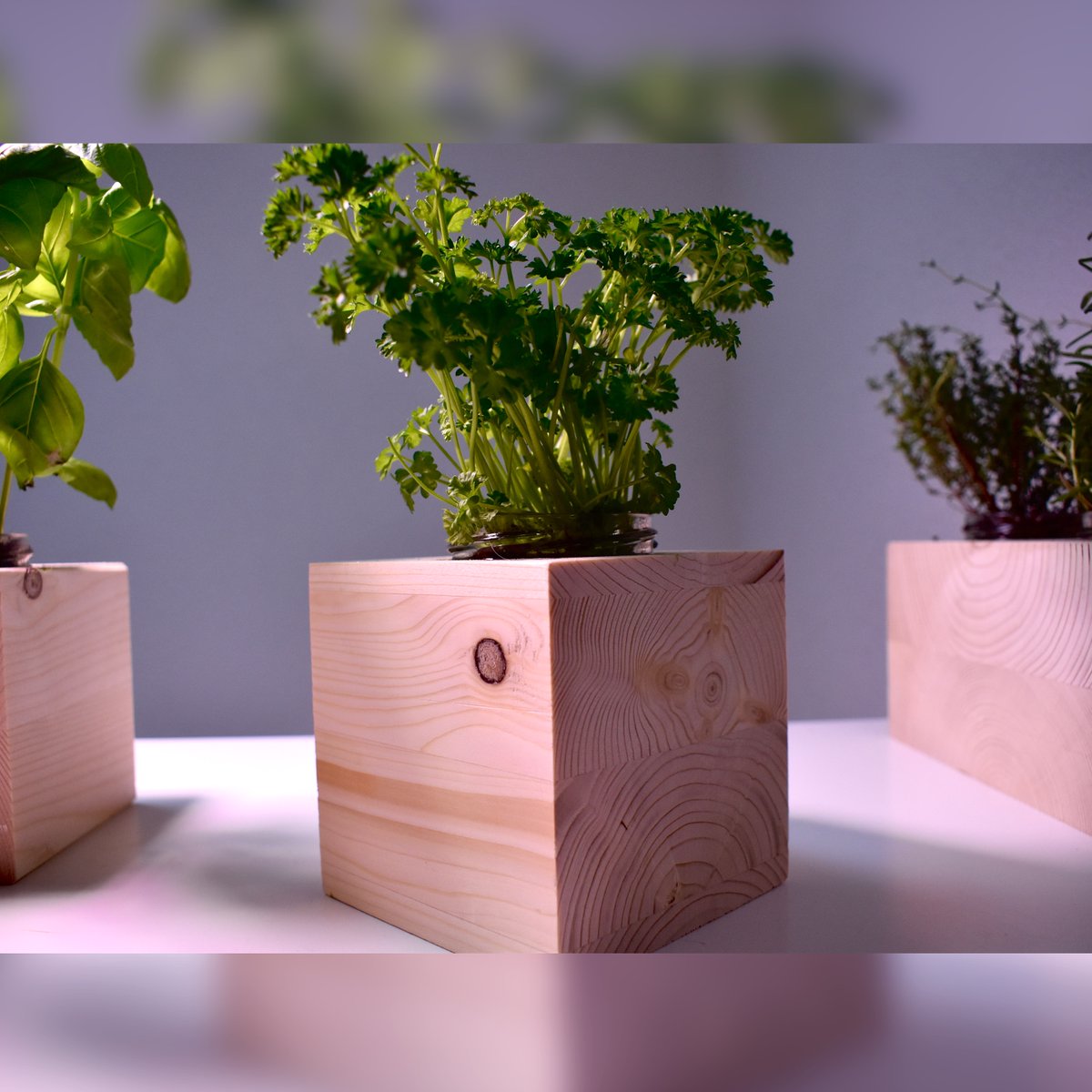 Our mini gardens consist of upcycled wood. ♻️ #indoorgarden #minigarden #wood #woodencube #upcycling #reuse #sustainability #startup #students