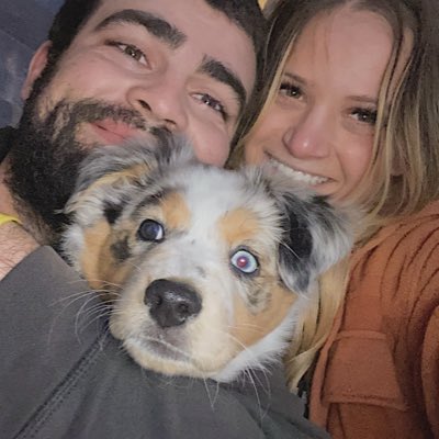 little Dolly has stolen our hearts (and 3 pairs of shoes to eat)