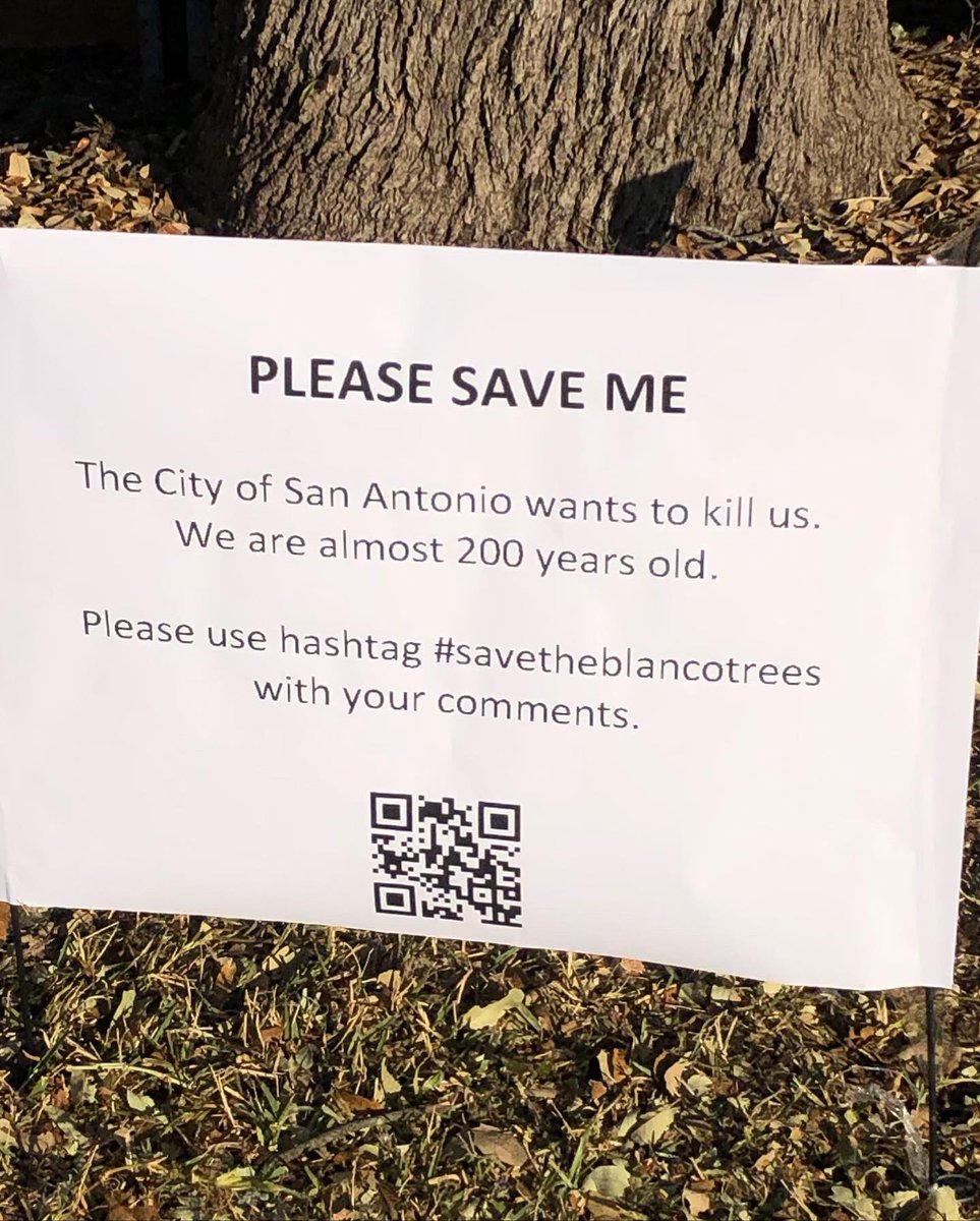San Arthur tweet media