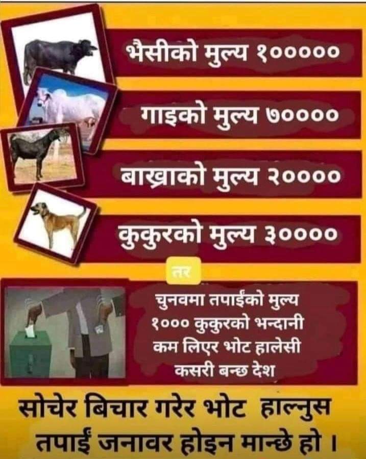 dipeshmanndal's tweet photo. https://t.co/BNala0PhVZ