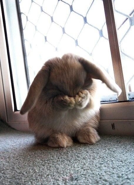 Kinda like being called a slut https://t.co/A3ZMpbZaUg