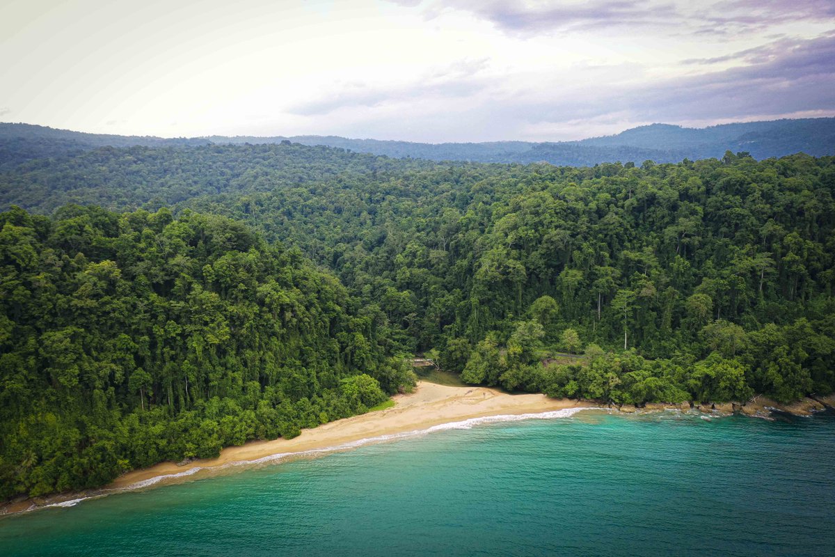 Those who have been to Vanimo, Sandaun Province,  would know where this is!! Let us know in the comment section below, where this place is?
📸Liebert Kirakar, PNGTPA 
#visitpng
#pngtourism
#Papuanewguinea