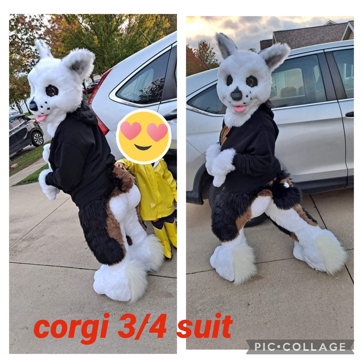 ThirdEyeCosmos1's tweet photo. Helping my friend Splootsuits sell some of there premades. 
Please make an offer prices are what we are hoping to sell them for
Corgi 3/4suit ( own for 2hrs for photos &amp; Halloween) 850$ 
Gator mini partail 400$
Canine partail 650$
Shipping cost not included https://t.co/D2UMSzF8YE