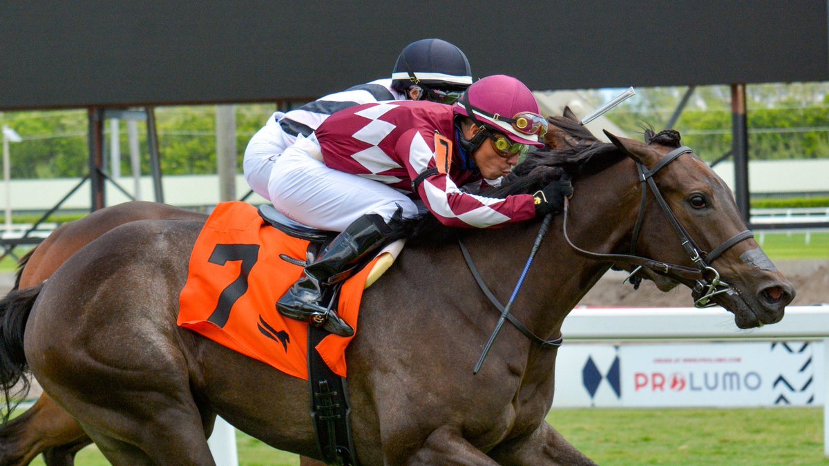NexusRacingClub's tweet photo. We are absolutely honored to have Diabolic be a finalist for a Sovereign Award for Champion 2-year-old Female!! https://t.co/QagQwAsSAG
