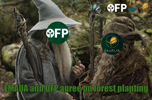 Rendal73 | Near Degen tweet media