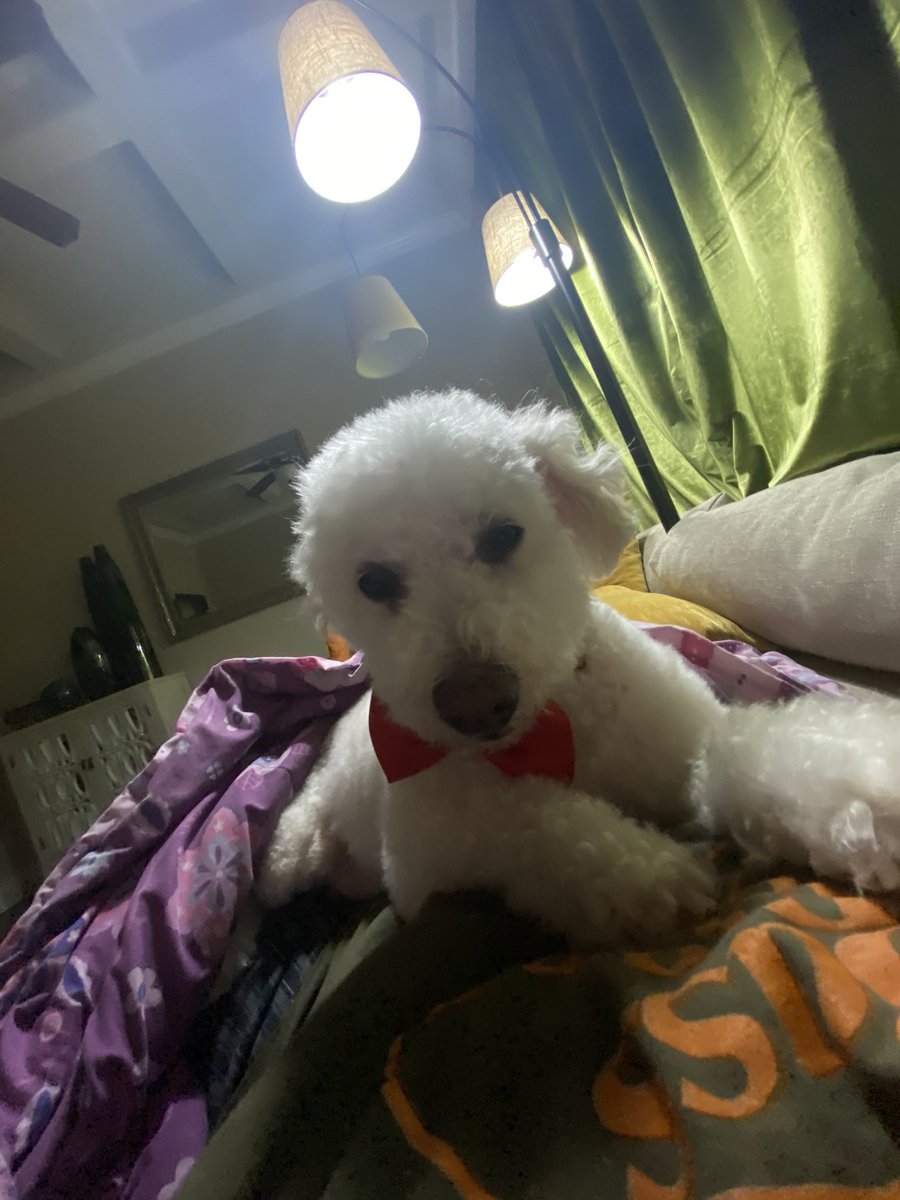 morgan alsbury (@_morganalsbury) on Twitter photo 