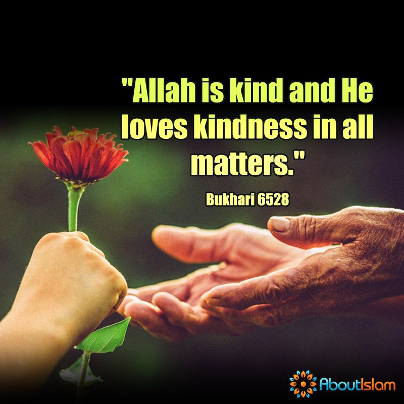 AflalMhmmd's tweet photo. #Prophet_Muhammed
#Hadees https://t.co/kjUSrznB88