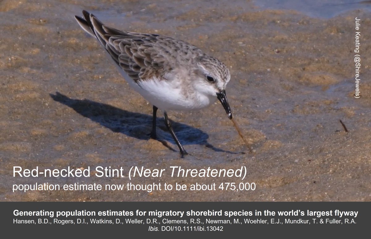 Graham Appleton tweet media