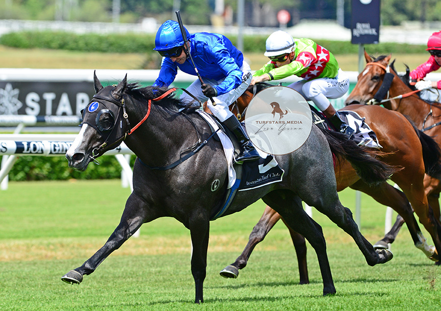 LisaGrimm9's tweet photo. She won the first 3 starts of her career, this was the second.
2019 Pierro Plate winner was @godolphin trained #TENLEY (Medaglia D'Oro x Fratianne) with @KPMcEvoy in the saddle.
#FlashbackFriday #FBF https://t.co/sqlzMeOoAN
