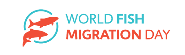 Fishes_MDPI's tweet image. World #FishMigrationDay(WFMD) will come on 21st May 2022. Please sign the petition to protect #migratoryfish, and encourage all organizations to sign and support: worldfishmigrationday.com/petition/ 
@world_fisheries
 @WorldAquaculture 
@WorldFishCenter