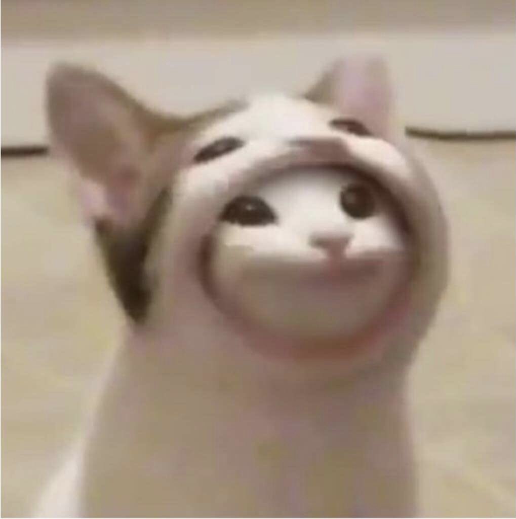 kirst 🦋 tweet media