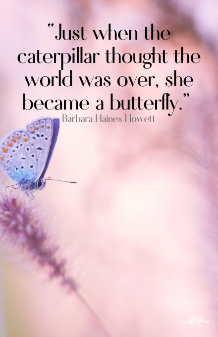 Joanne 🌸 🦋Stay strong🦋 tweet media