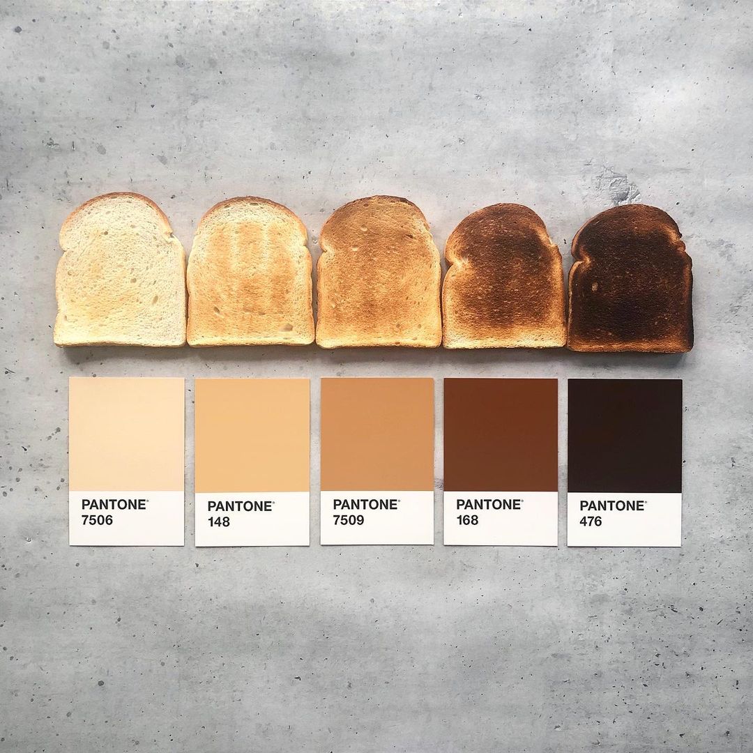 #ArtFood 🎨
50 nuances de grillé ! 🔥
➖
📷 Crédit photo ©️tom.lowe
#foodphotography #Foodies #creativefood #pantone #grill #cuisine #TendancesFood