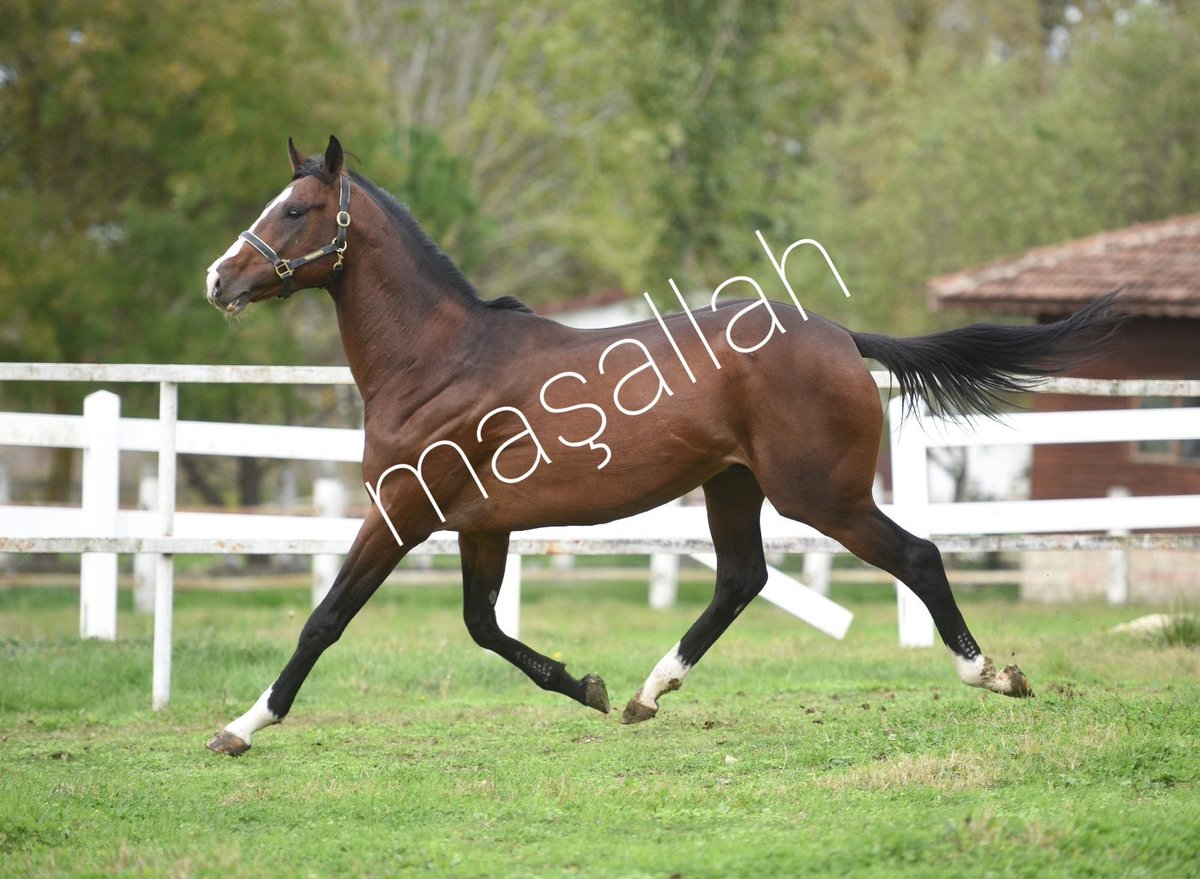 OzyurteriAyse's tweet photo. Hayırlı cumalar. https://t.co/BxMdWfhMvO