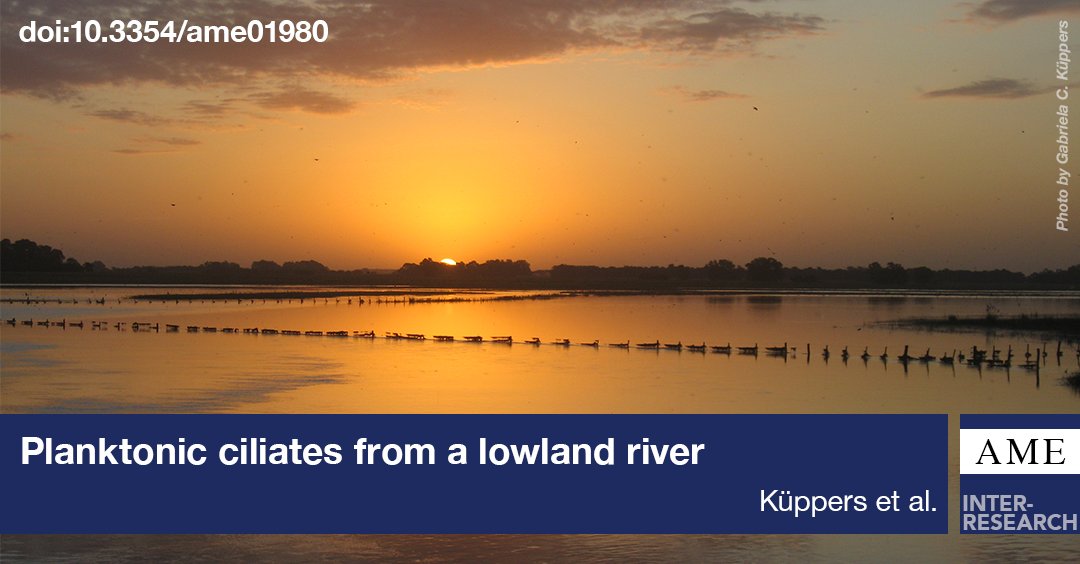 Aquatic Microbial Ecology (AME) tweet media