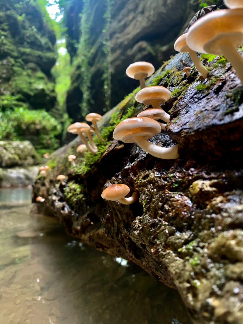 Gm frens😍
#NFTs #NFT #NFTCommunity #NFTartist #NFTGiveaway #NFTCollection