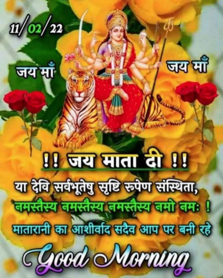 iPratibhaTiwari's tweet photo. जय श्री राम! जय श्री श्याम!
🚩🚩🚩🚩🚩🚩🚩🚩
Good Morning Friends

🚩🚩🚩 जय मां लक्ष्मी देवी 🚩🚩🚩 https://t.co/OTZ81IRsFq
