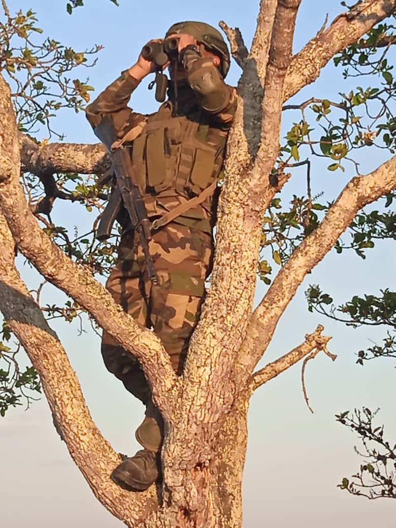 dhernandezlarez's tweet photo. Escuadras de reacción rápida de infantería ligera del estado Portuguesa maniobran en el sector El Amparo estado Apure, en labores  de patrullaje y contacto con el enemigo de la patria: TANCOL, para destruirlo y expulsarlo del suelo soberano. https://t.co/wDDHC14L2N