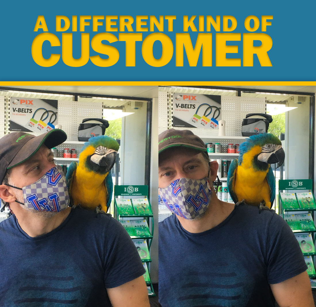 ChainandDrives's tweet photo. 🦜 Meet Sapphire the Macaw Parrot and a different kind of customers we get @ChainandDrives She needed some help identifying some Vee belts -https://t.co/xJmmQVCtlY
#macaw #parrot #adifferentkindofcustomer #chainanddrives #veebelts #welshpoolshop #industrialmechanicalequipment https://t.co/Hv5wSv4Gaa